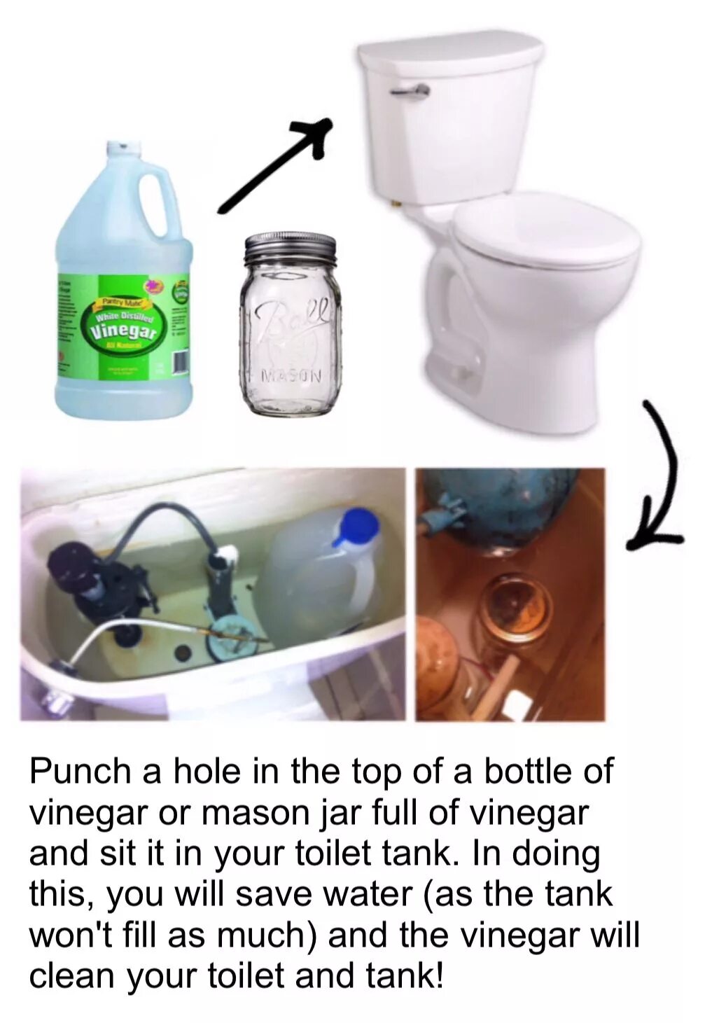 Водяной замок в унитазе от запахов. Clean Toilet. Toilet Cleaner Bottle. Touchless Toilet clean. В туалете пахнет мочой