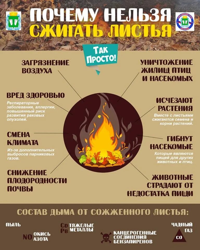 Почему нельзя поджигать. Нельзя сжигать сухую траву. Листовки не Поджигай сухую траву. Почему нельзя сжигать траву.