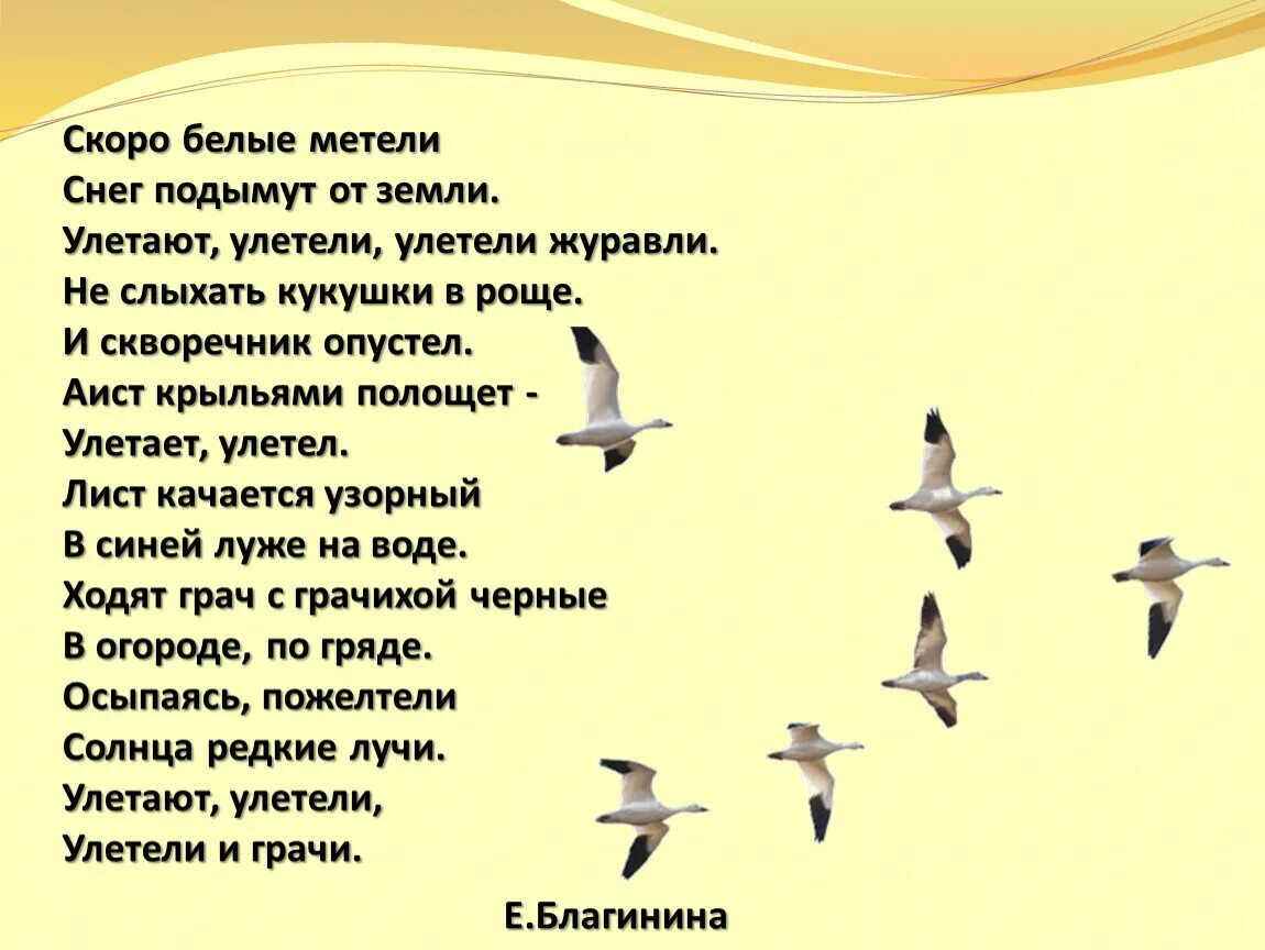 Песня журавли караваном все на юг. Скоро белые метели снег подымут от земли. Перелетные птицы. Стихи про перелетных птиц. Е Благинина улетают улетели.