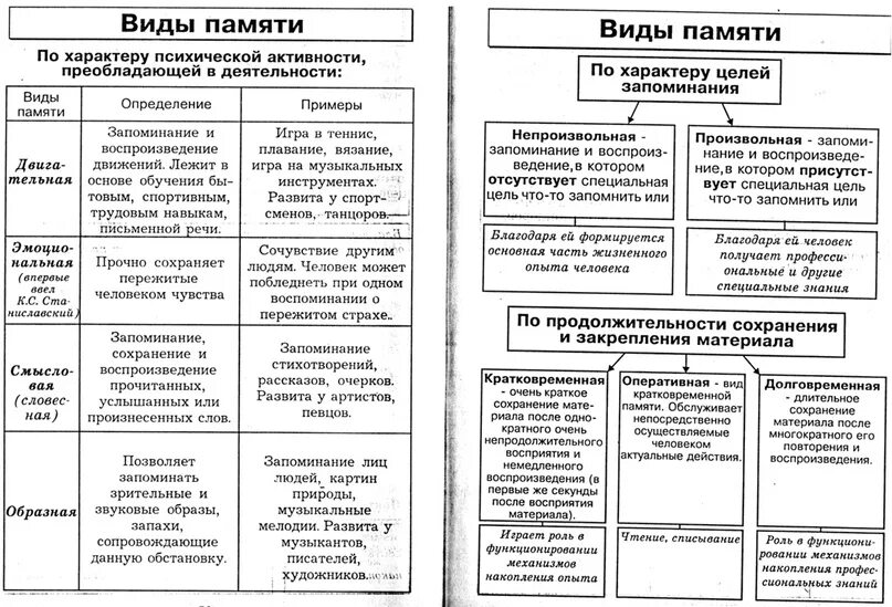 память #ОГЭ #ЕГЭ #биология 2023 HIMERA биология ОГЭ, ЕГЭ, ДВИ, олимпиады ВКонтак