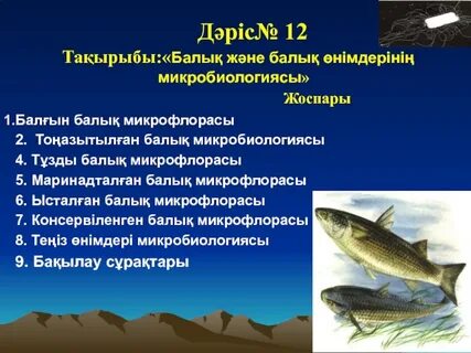 Орыс жұмсақ порно супер киска