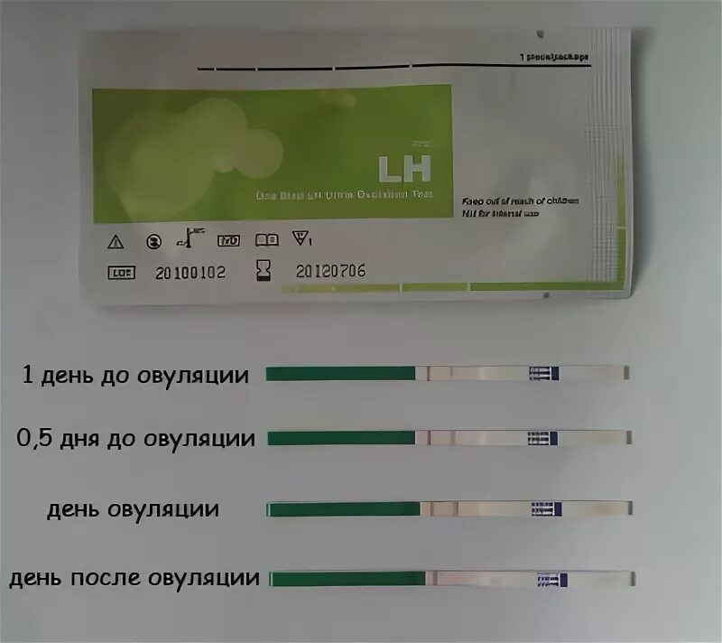 Через сколько после стимуляции. Выделения при овуляции и тест на овуляцию. Тест на овуляцию и беременность. На тесте овуляция выделения. Тест на овуляцию при беременности.