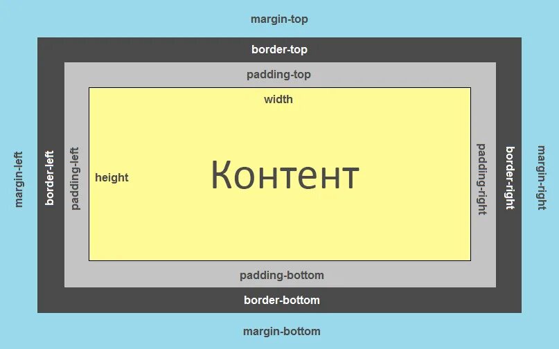 Margin padding CSS. Html margin и padding. Схема margin padding. Различие margin и padding. Content margins