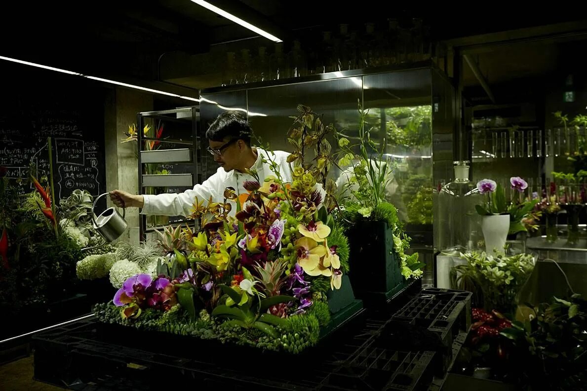 Ботаник цветочный магазин. Макото Азума флорист. Макото Азума заледеневшие цветы. Адзума Макото. Азума Макото цветы.