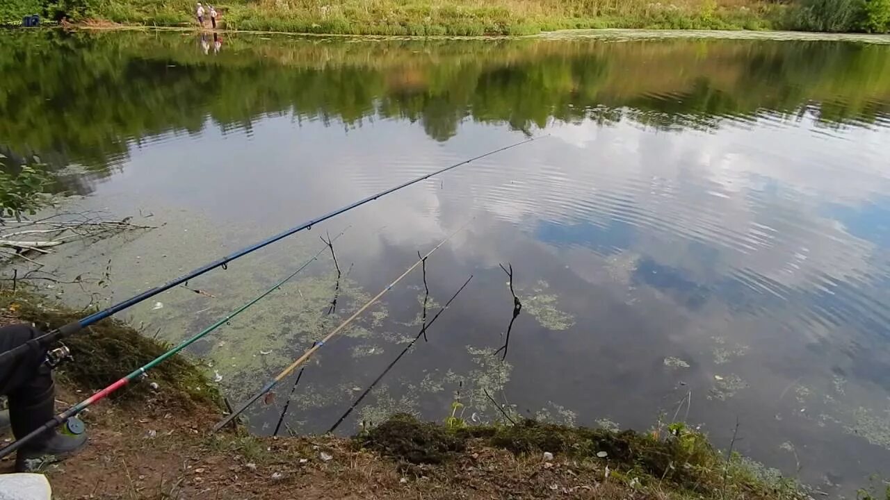 Рыбалка летом. Речка с удочками. Удочка для рыбалки. Пруд удочка. Пруд можно ловить рыбу