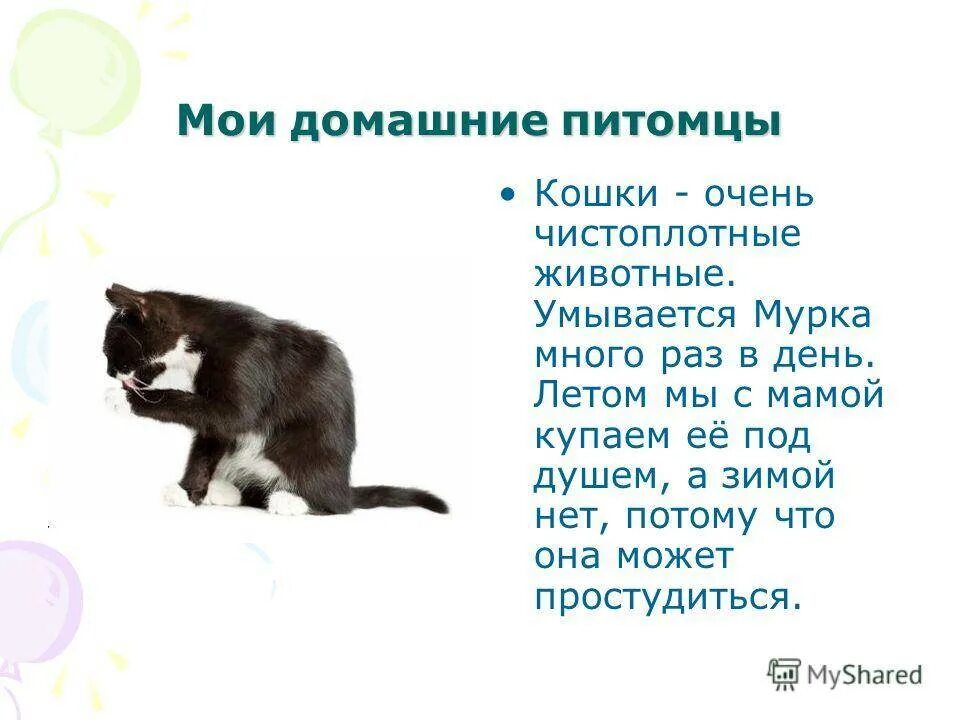 Мой питомец кошка 1 класс