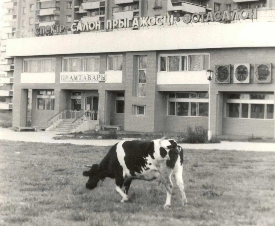 Минск 1995 год