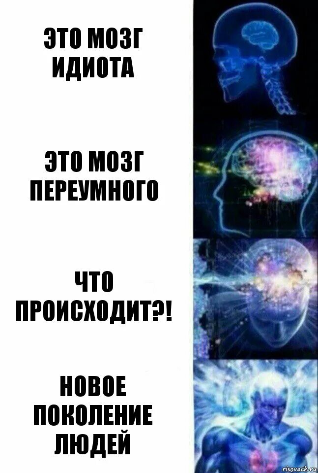 Картинка мозгов. Дарю мозг. Некоторым хочется подарить мозг. Дарю мозг. Сравнить мозг дельфина и человека.