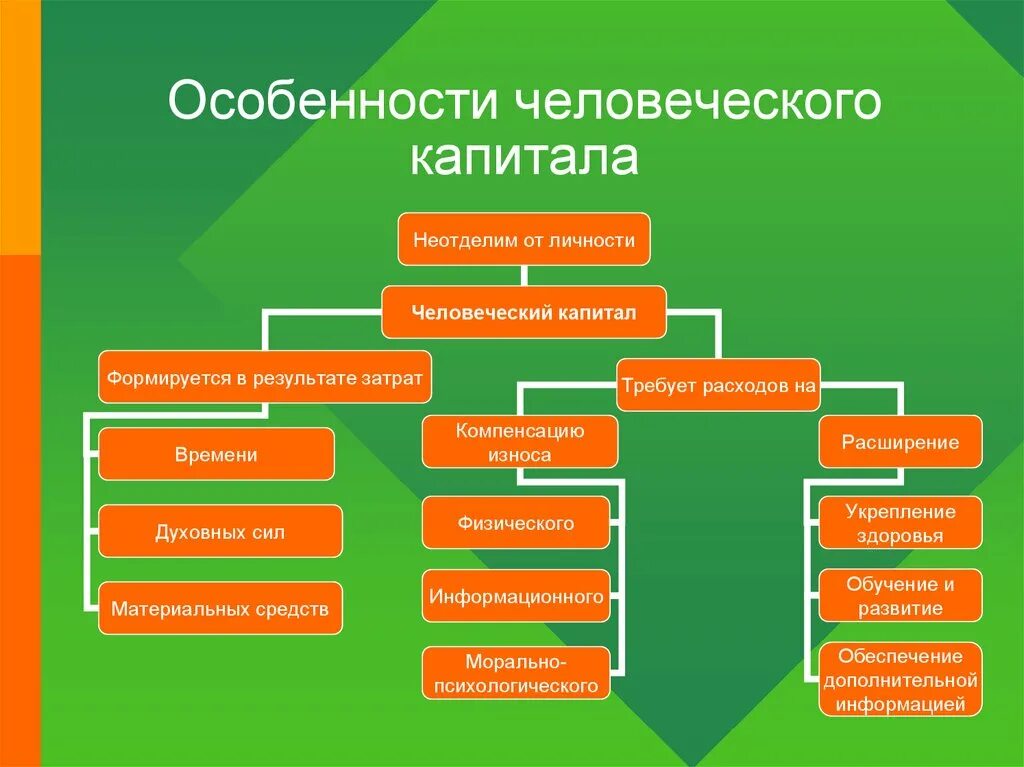 Капитал относится к экономике. Особенности человеческого капитала. Составляющие человеческого капитала. Характеристики человеческого капитала. Классификация видов человеческого капитала.