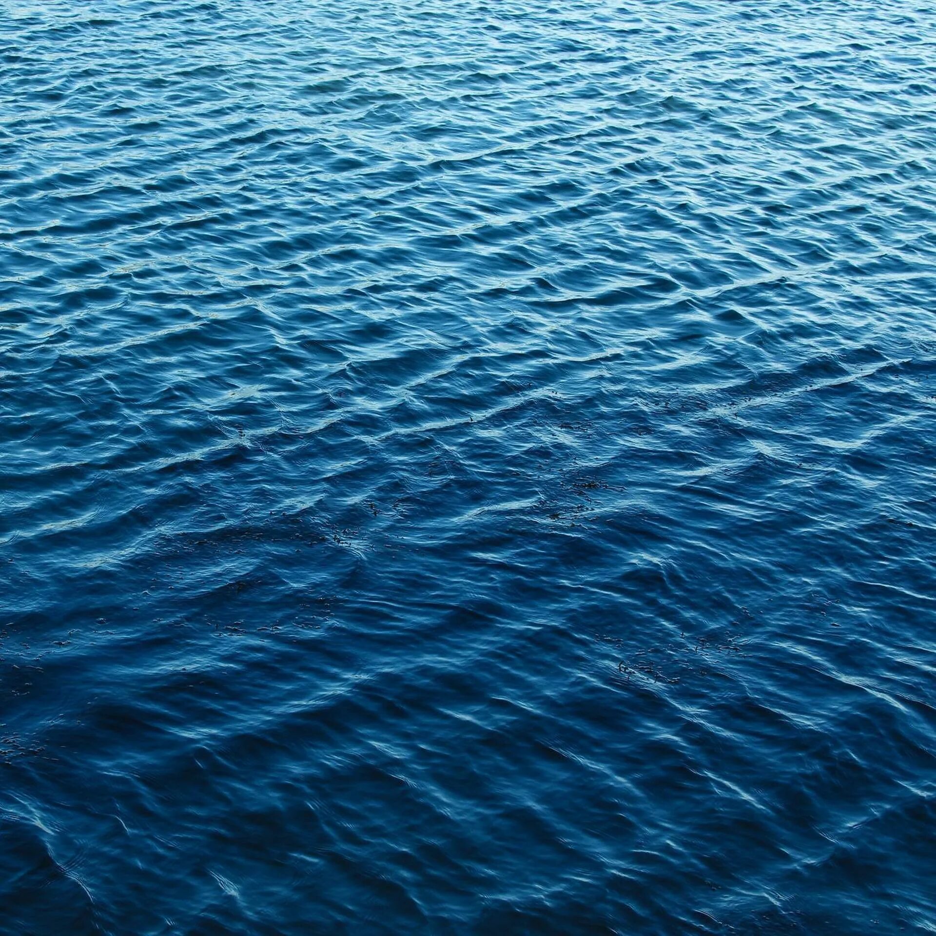 Музыка шум океана. Гладь воды. Гладь океана. Текстура воды. Рябь на море.