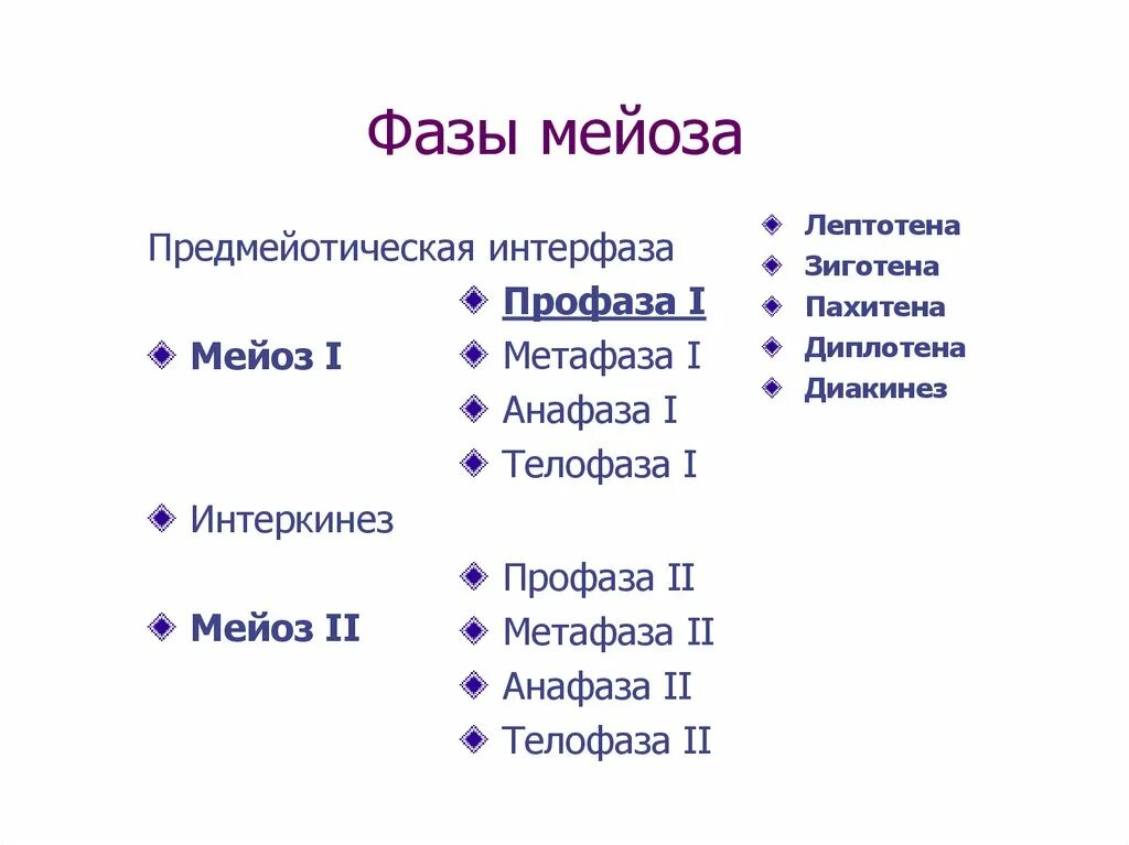 Интерфаза мейоза 2. Фазы мейоза интерфаза 1. Интерфаза и первое деление мейоза. Процессы в интерфазе мейоза.