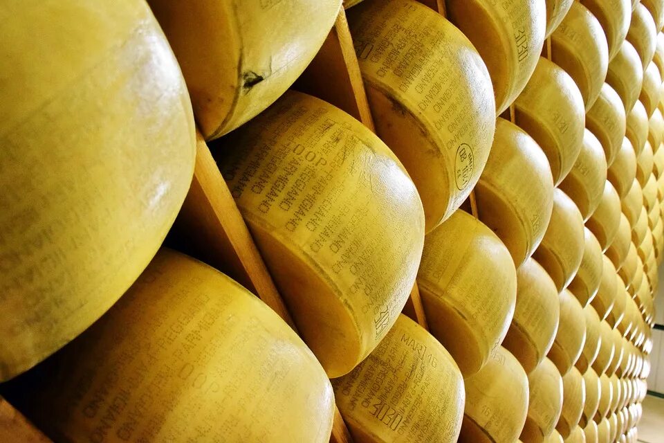 Сайты производителей сыра. Parmigiano Reggiano завод. Сырный завод. Пармезан. Сыр пармезан.