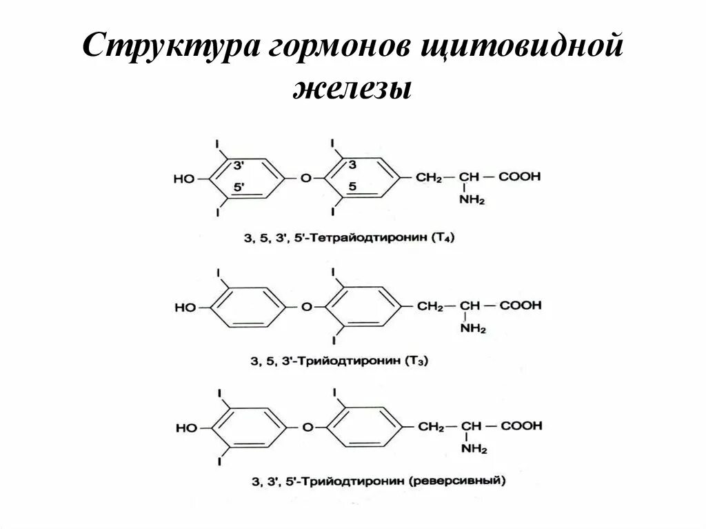 Строение гормонов щитовидной железы биохимия. Химическая структура гормонов щитовидной железы. Строение тиреоидных гормонов биохимия. Тиреоидные гормоны структура.