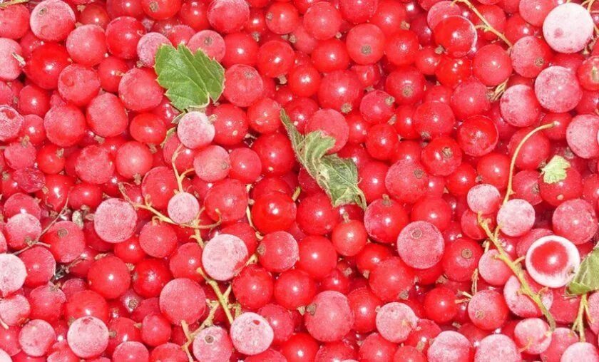 клубника зам\вес\1кг египет. конфитюр из красной смородины. 1 кг черники. ведро для ягод. сколько в кг литров ягод.