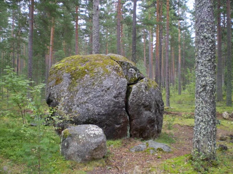 Змеиный камень Карелия. Каменный лес Карелия. Мох Карелия валуны. Карелия озеро большой камень лес.