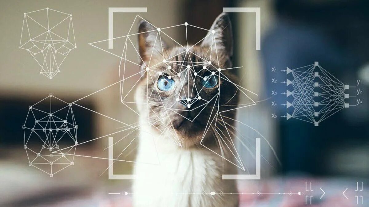 Нейросеть распознавание. Нейронная сеть. Искусственные нейронные сети распознавание. Искусственный интеллект нейросети и распознавание образов. Нейросеть бесплатная без размытия