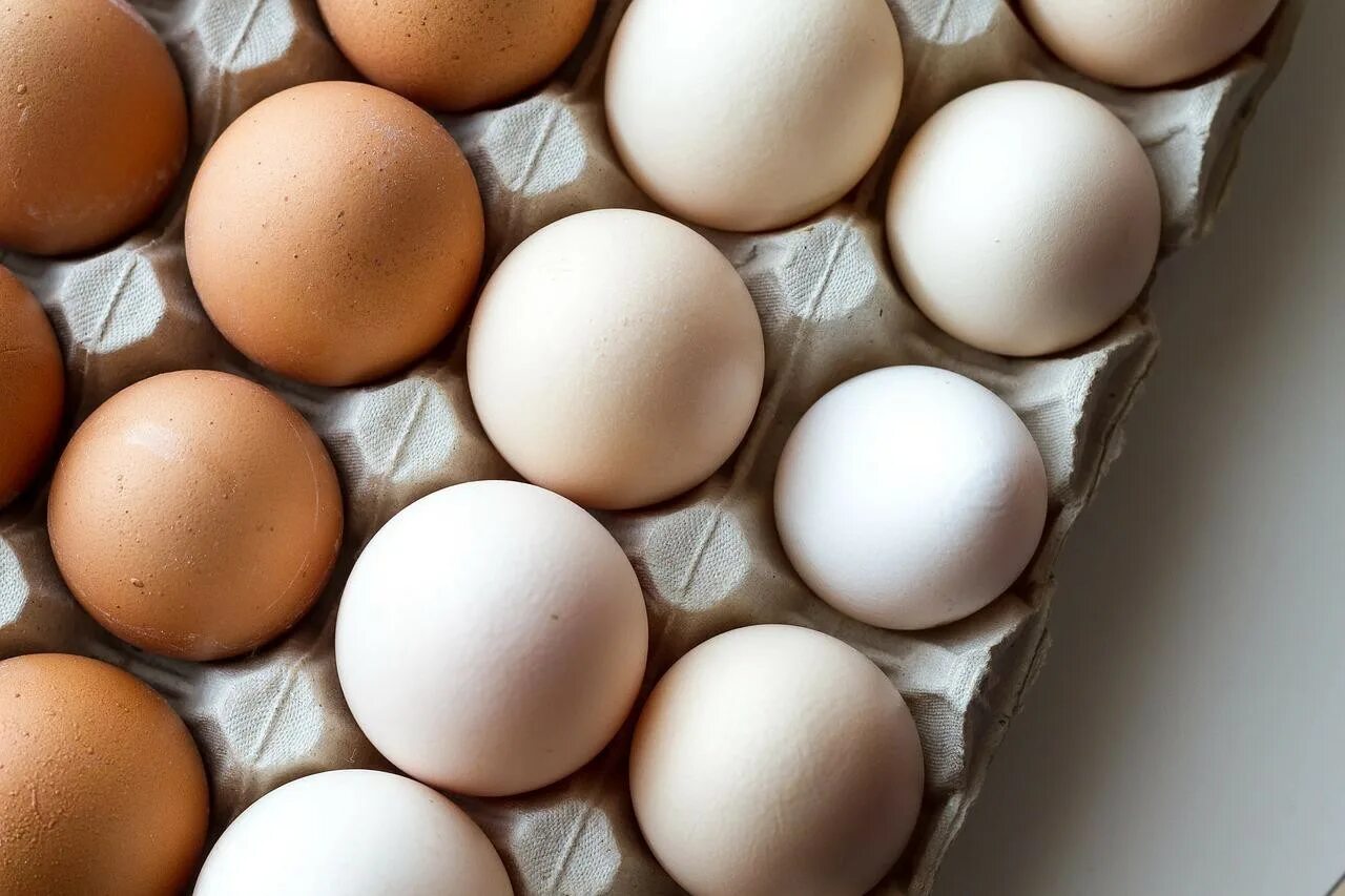 Egg на русском