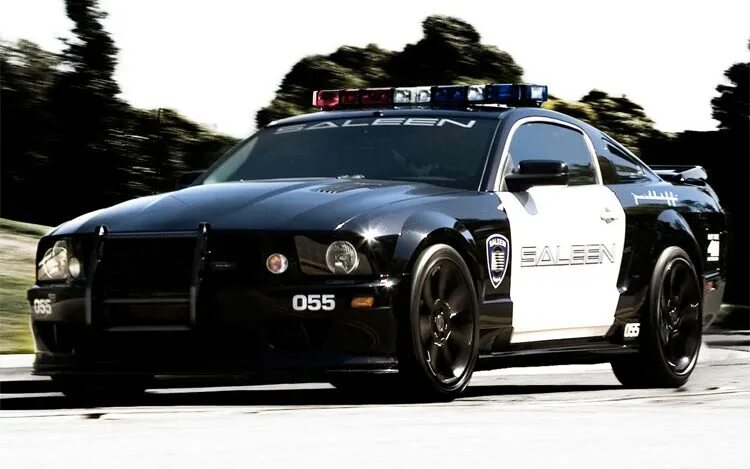 Полицейский мустанг. Ford Mustang 2005 Баррикейд. Форд Мустанг 2005 Police. Ford Mustang Police Barricade. Ford Mustang Saleen s281 полицейский.