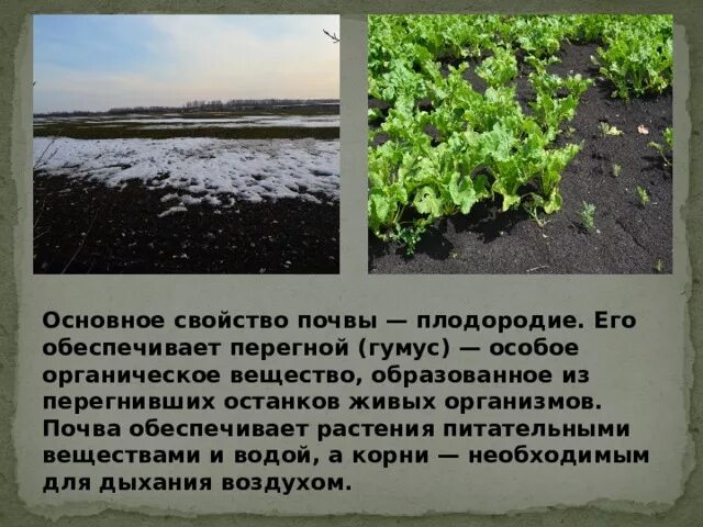 Закон о плодородии