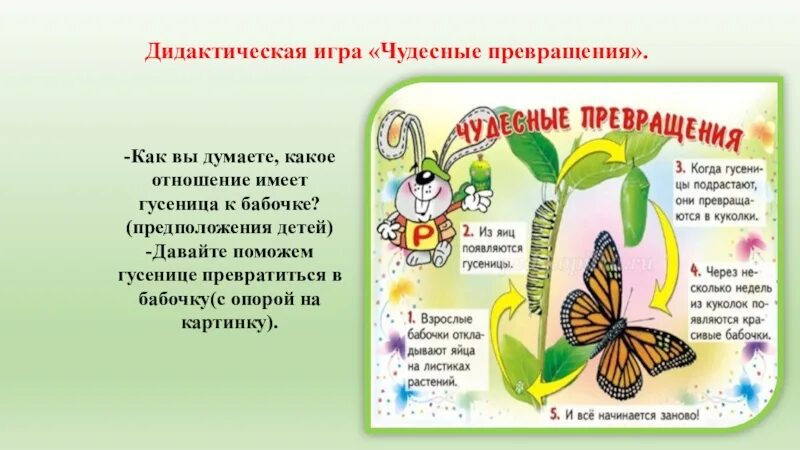 Чудесные превращения слов презентация 2 класс. Чудесный превратиться. Чудесные превращения волшебной палочки дыбина читать. Чудесный превратиться. Книга с далматинец.
