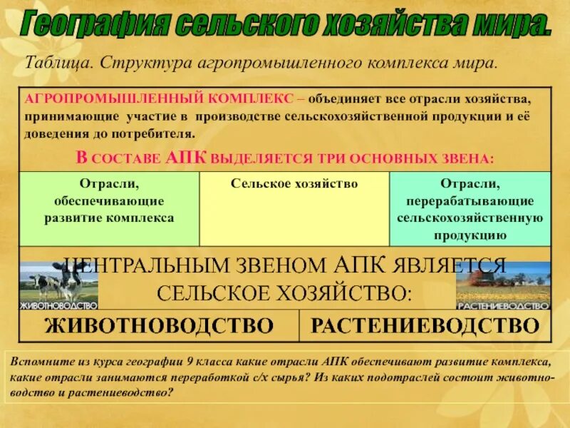 Агропромышленный комплекс России АПК 9 класс. Растениеводство 10 класс география