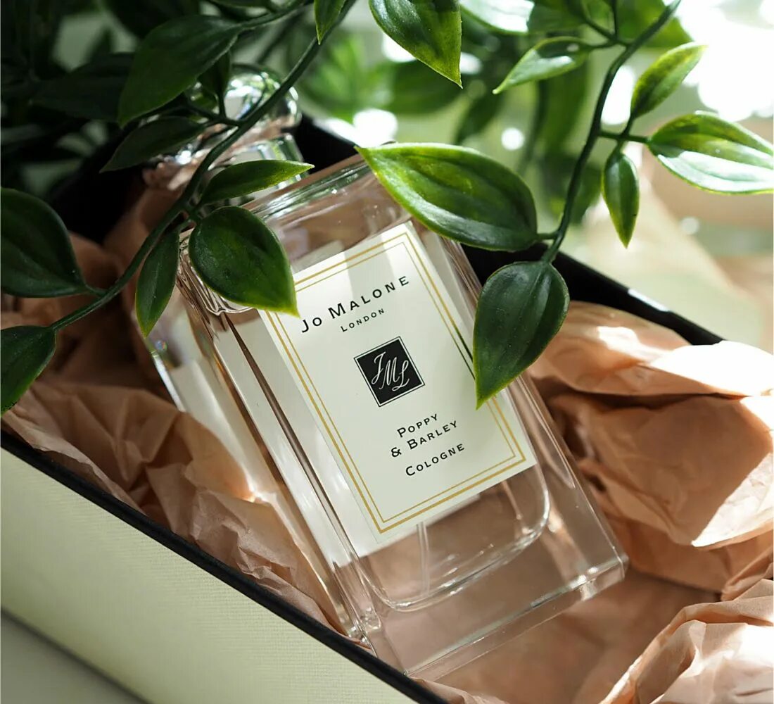 Jo malone poppy barley. Джо Малон Поппи. Джо Малон Poppy. Джо Малон Poppy Barley. Джо Малон духи Мак.