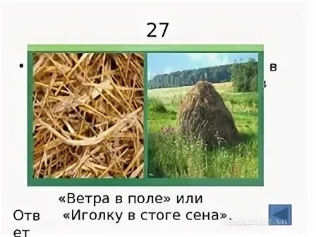Значение пословицы искать иголку в стоге