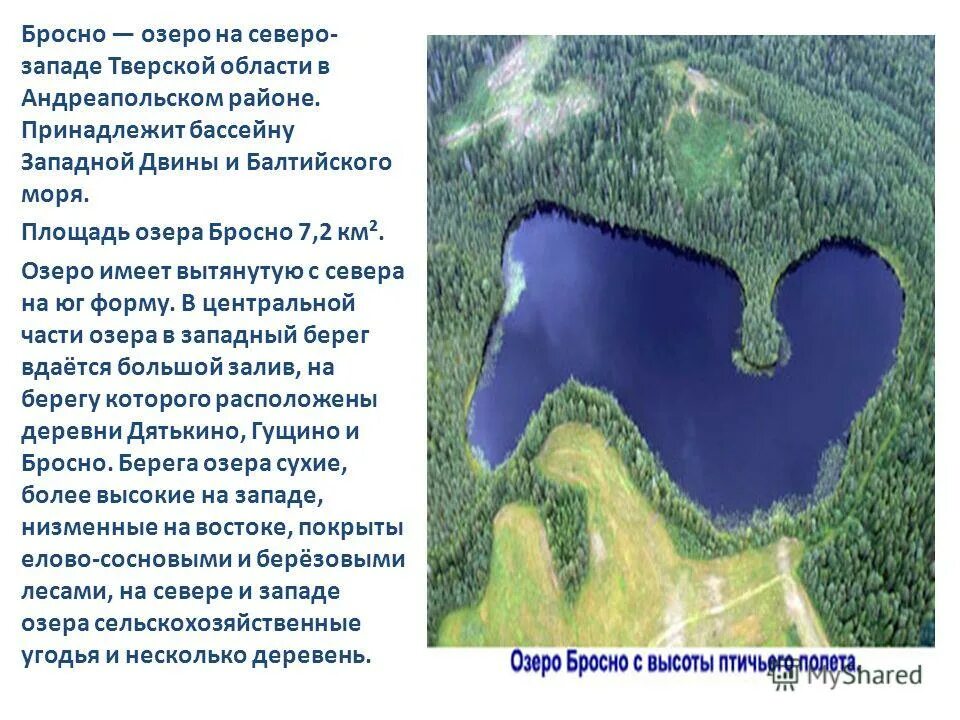 Озеро Бросно в Тверской области. Монстр озера Бросно. Бросненское чудовище в Тверской области. Озеро Бросно в Тверской области чудовище. Озеро тянется длинной блистающей полосой