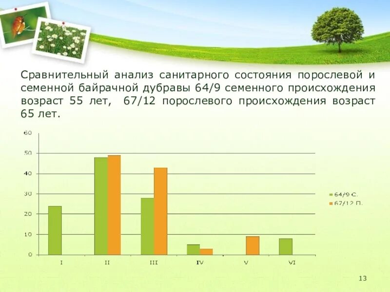 Сан анализ. Семенное происхождение это. Семенное и порослевое происхождение.