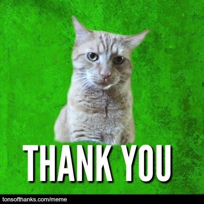 Thanks мем. Thank you мем. Thank you for your attention мемы. Thanks мем. Спасибо мемы.