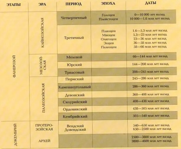 Название эры период продолжительность. Эры и периоды таблица. Эры периоды эпохи. Эры периоды эпохи таблица. Эры и их периоды с характеристикой.