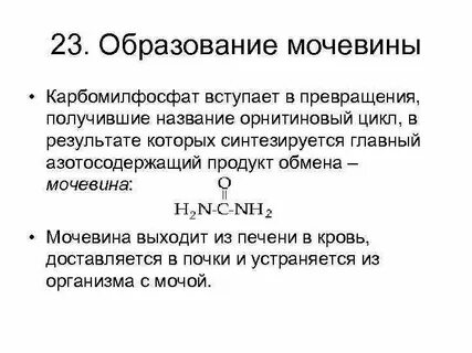 Вставьте в текст обмен белков