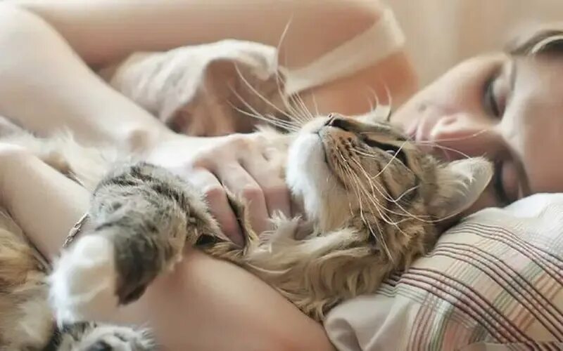 Она всегда была кошкой. Кошка нежится. Девушка с котом в постели. Нежиться в постели.