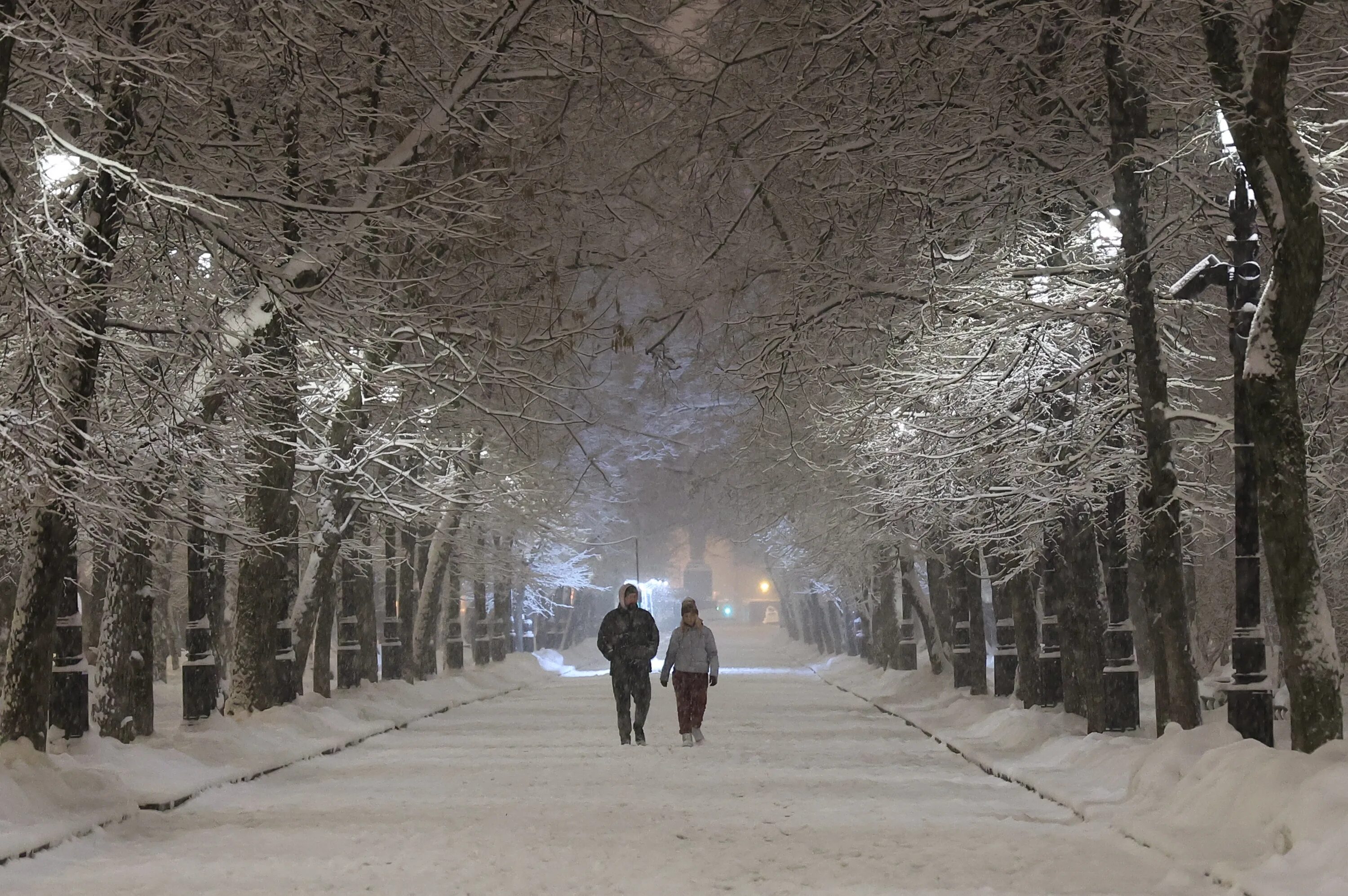 Выйдет января 2023. Зима в Москве. Москва снегопад ночь. Снег в Москве ночью. Россия зимой.