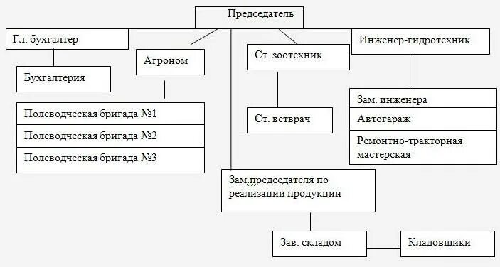 Организационная схема сельскохозяйственного предприятия. Структурная схема сельскохозяйственного предприятия. Организационная структура сельхозпредприятия схема. Организационная структура с/х предприятия. Органы управления сельским хозяйством