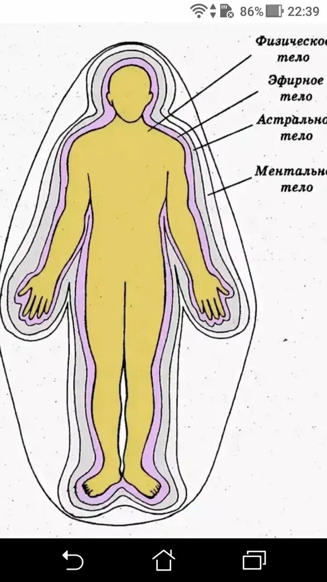 Эфирный это. Астральное тело человека астральное тело человека. Физическое астральное ментальное эфирное. Ментальное астральное и эфирное тело человека. Физическое тело астральное тело эфирное тело.