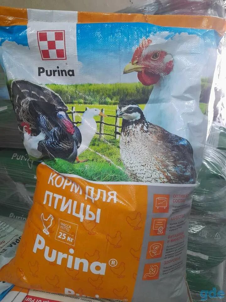 Пурина корм для птицы. Пурина утка. Пурина утка. Purina one mini корм влажный для собак 85г. Корм д/кошек гурме перл говядина 85г.