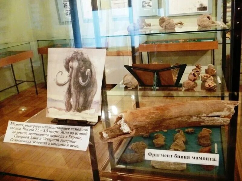 Краеведческий музей казань археологические находки. Ставропольский край каменные кресты дмитриевское. Сарматское золото оренбург. Археологический музей москвы. Какие памятники древности хранятся в краеведческом музее.