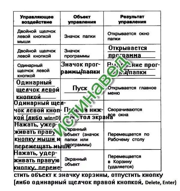 Компьютерная мышь заполните таблицу. Компьютерная мышь заполните таблицу