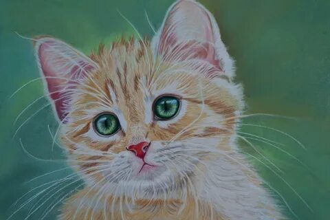 Красивые кошки картины