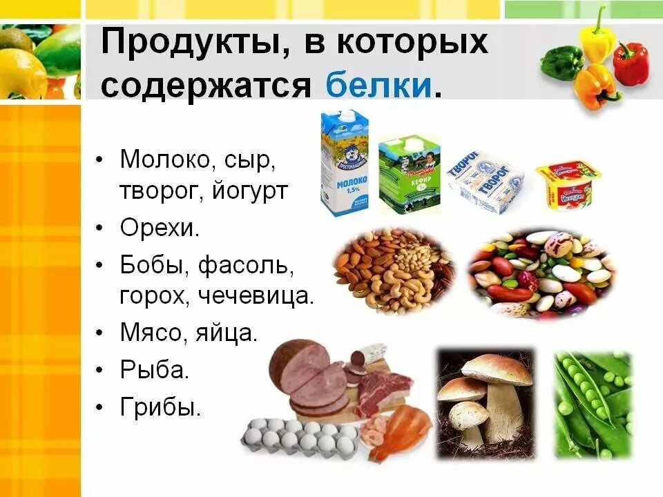 В каких продуктах содержится белок. Список продуктов содержащих белок. В чём содержится белок список продуктов. Где содержится белок в каких продуктах таблица.