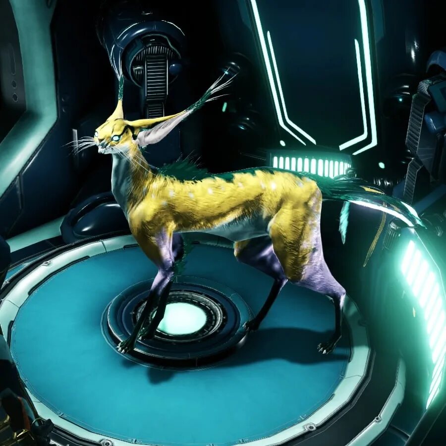Кубрау warframe. Смита кават. кават смита адарза. смита кават варфрейм. warframe кават.