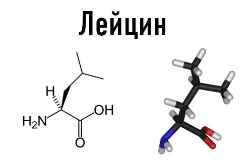 Строение лейцина. Формула лейцина. Структурная формула лейцина. На рисунке представлена структурная формула лейцина. Структурная формула серина.