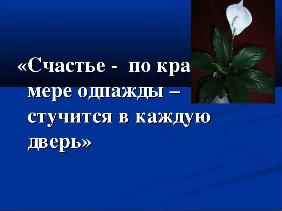 Пусть стучится в дверь. Счастье — по крайней мере однажды — стучится в каждую дверь.. Счастье стучится в дверь. Счастье стучится. Пусть в каждую дверь стучится счастье.