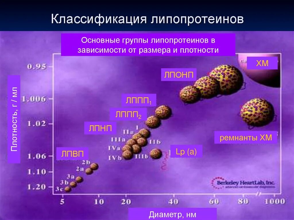 3 3 низкой плотности