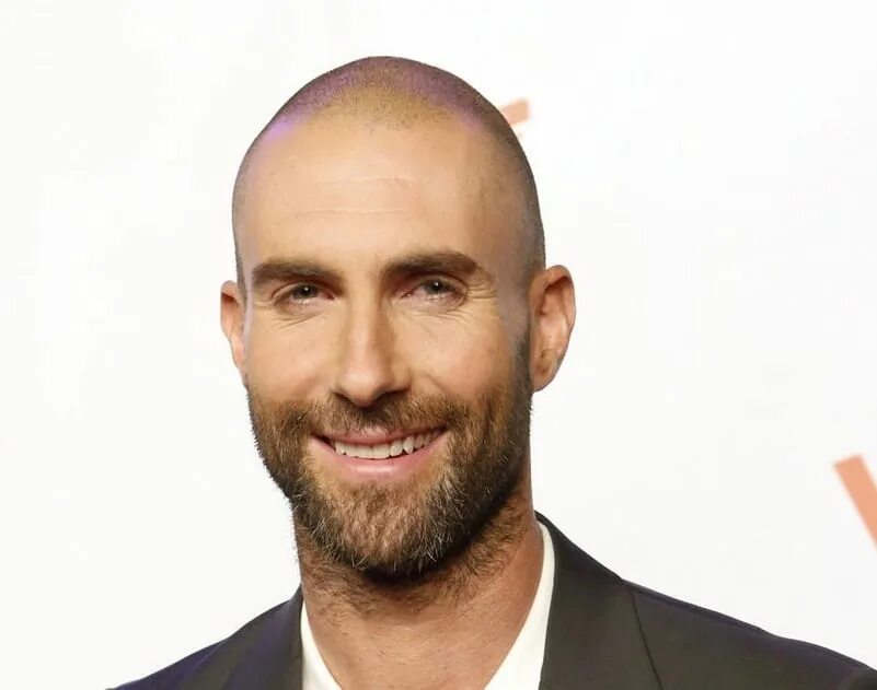 Лысый с бородой певец. Адам левин лысый. адам левайн короткая стрижка. adam levine короткая стрижка. адам левин лысый с бородой.