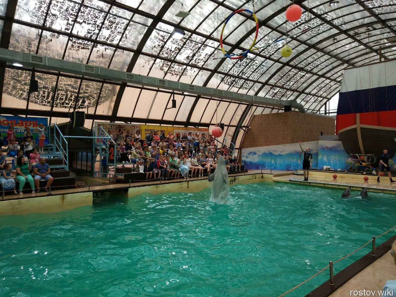 ростовский дельфинарий. дельфинарий коммунистический просп. дельфинарий ростов-на-дону. дельфинарий коммунистический просп 36 4 западный. дельфинарий коммунистический просп.