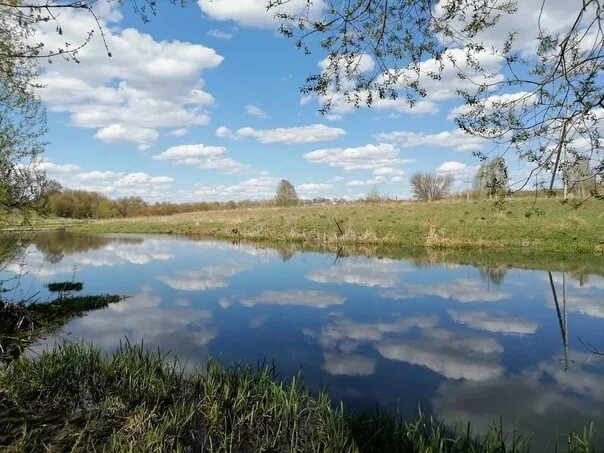 Плавск Тульская область река плава. Плавский район Тульской области природа. Климат Плавского района.