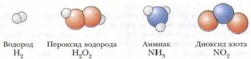 Модели молекул простых веществ. Формы существования химических элементов. Модели молекул простых и сложных веществ в химии. Химия 8 класс формы существования химических элементов. Пероксид водорода немолекулярного строения