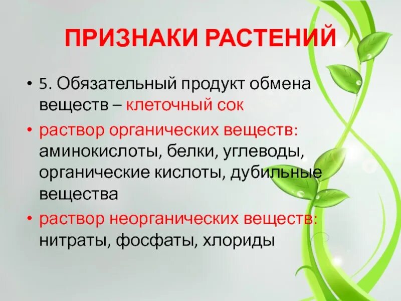 Признаки растений. Основные признаки растений. Каковы основные признаки растений. Продукт обмена у растений. 5 основных признаков растений